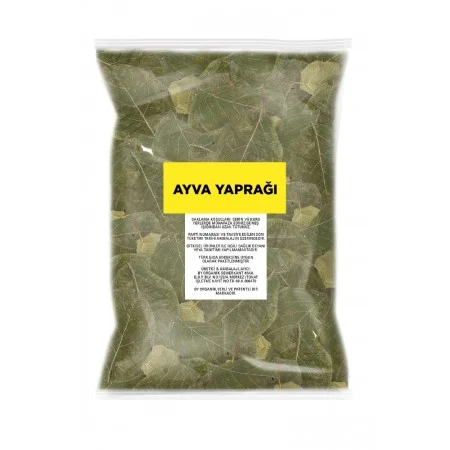 AYVA YAPRAĞI 