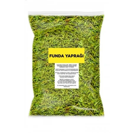 FUNDA YAPRAĞI 